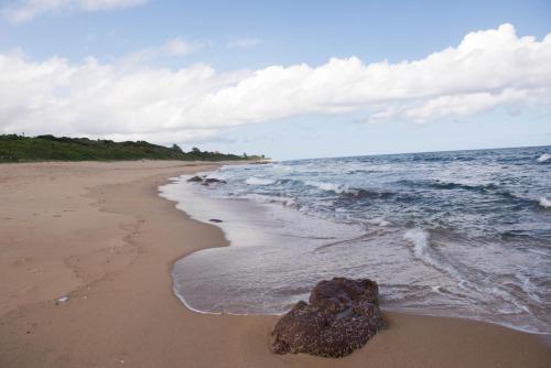 a beach with a rock in the sand and the ocean at Sole's Leap in Scottburgh