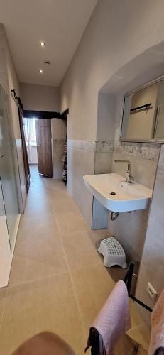 a bathroom with a sink and a mirror and a counter at Chateau de Gendersberg in Hanviller