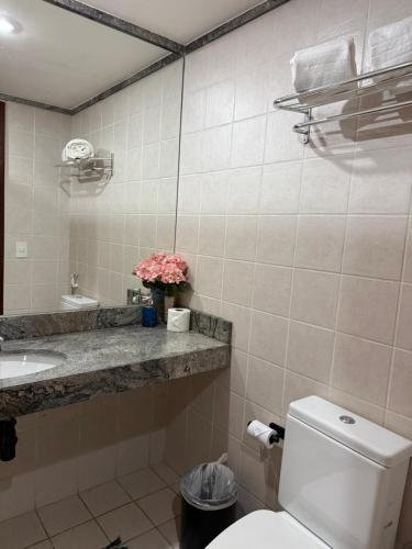a bathroom with a toilet and a sink at Flat em Taguatinga in Taguatinga
