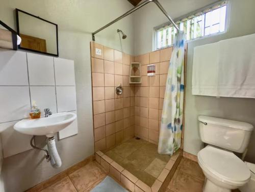 a bathroom with a toilet and a sink and a shower at Lago Vida Cabins in Tilarán
