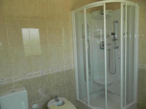 a bathroom with a shower and a toilet at Hermida Rural in Eirejalba