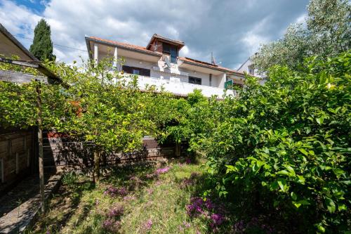 Apartments with parking space Biograd na Moru, Biograd - 25827