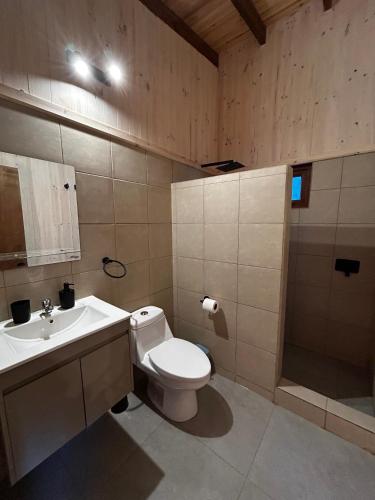 a bathroom with a toilet and a sink and a shower at Piedra Amarilla Tiny House in Curanipe