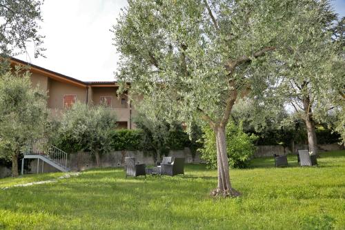 a tree in the middle of a field with chairs at Rooms ai Poggi in Bardolino