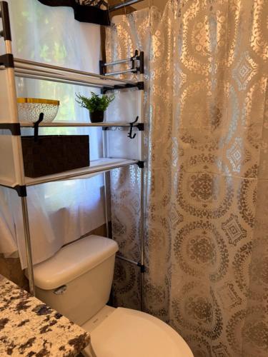 a bathroom with a toilet and a shower curtain at One more night in Ocho Rios