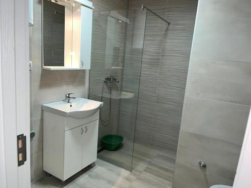 a bathroom with a shower with a sink and a toilet at Mimura stan in Belgrade