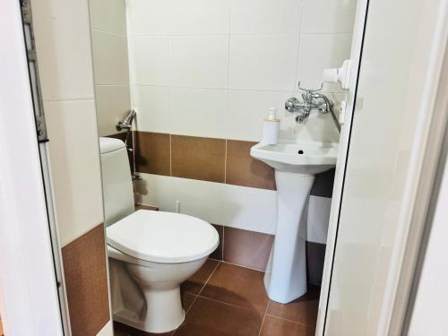 a bathroom with a toilet and a sink at Room Nencheva in Sandanski