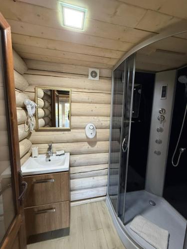 a bathroom with a shower and a sink and a mirror at Verdant House in Mykulychyn