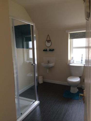 a bathroom with a shower and a toilet and a sink at The Old Coach House in Eyemouth