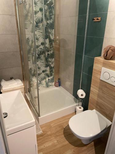a bathroom with a shower and a toilet and a sink at Apartament pod dębami in Trzcianka