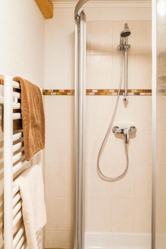 a bathroom with a shower with a glass door at Biobauernhof Kleinummerstall in Mittersill