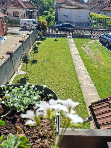 a garden with some plants in a yard at Stan na dan Filipović in Čačak