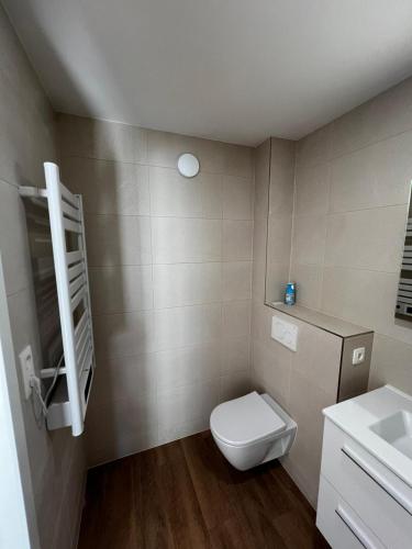 a small bathroom with a toilet and a sink at La Clé des Champs in Jodoigne