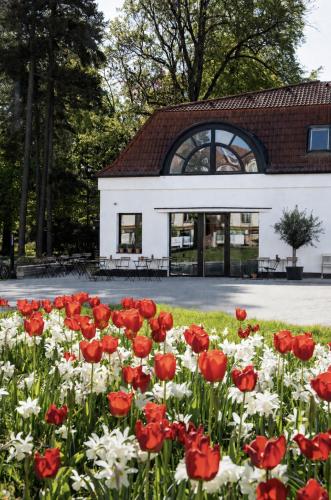 Podkrovné ubytovanie vParku s raňajkami