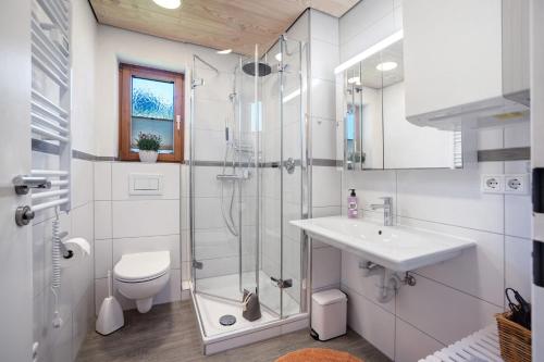 a bathroom with a shower and a sink and a toilet at Ferienwohnung Krokus in Weiler-Simmerberg