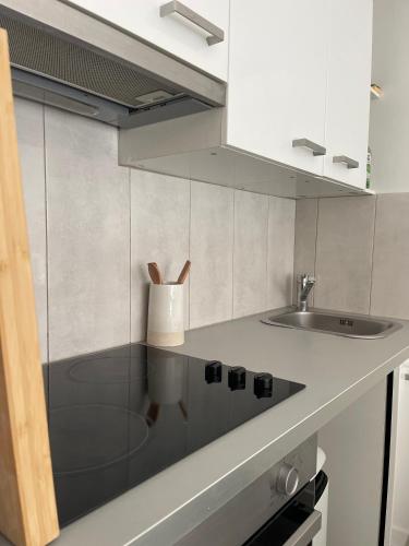 apppartement avec terrasse - 2 à 4 personnes photo 17