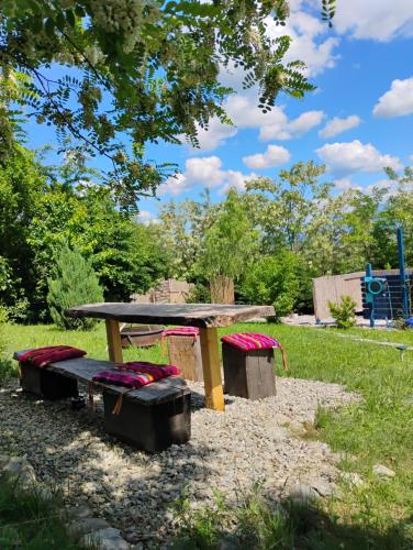 a picnic table and benches in a park at 479 Tiny House, Domeniul von Agodt in Bradu