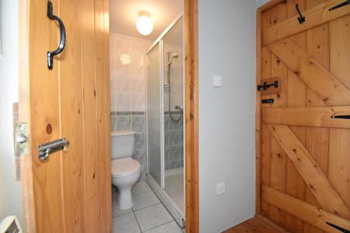 a bathroom with a shower and a toilet and a door at High Field Cottage Rosscarbery in Rosscarbery