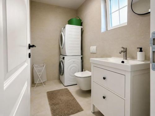 a bathroom with a washing machine and a sink at Villa Gaudeo with pool and EV station in Nova Vas