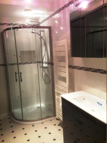 une salle de bain avec douche et lavabo dans l'établissement Au Coeur d'Amiens, à Amiens