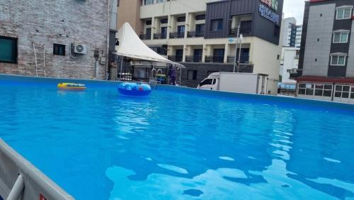 a large swimming pool with blue water in a building at Daecheon Story Pension in Boryeong