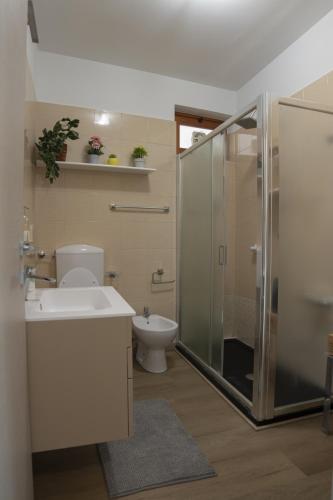 a bathroom with a shower and a toilet and a sink at Murazzanino in Murazzano