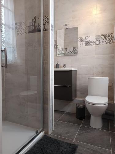 a bathroom with a toilet and a shower and a sink at Maison Vive La Vie in Couiza