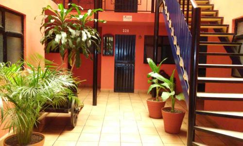 un pasillo con macetas y escaleras en un edificio en Hotel México en Morelia