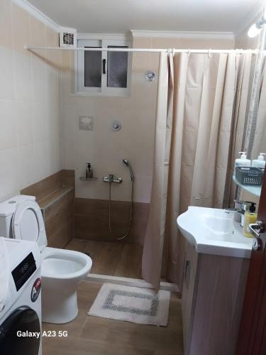 a bathroom with a shower and a toilet and a sink at Menidi apartment 202 in Menídion