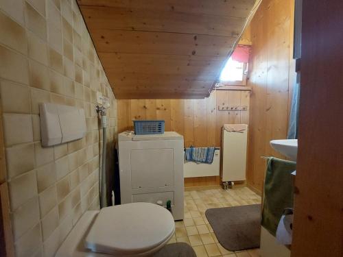 a small bathroom with a toilet and a sink at Stilvolle 3,5 Dachwohnung "Alpenblick" in Davos
