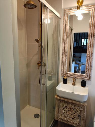 a bathroom with a shower and a sink and a mirror at Tiny du lagon in Saint-Paul