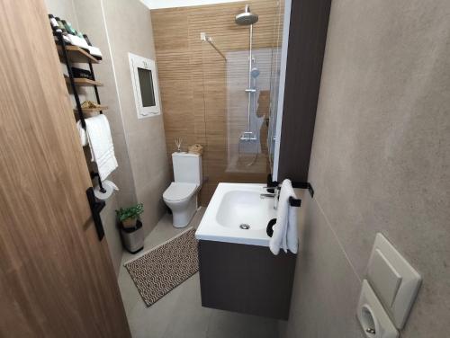 a bathroom with a sink and a shower and a toilet at Prikas Apartments A in Kefalos