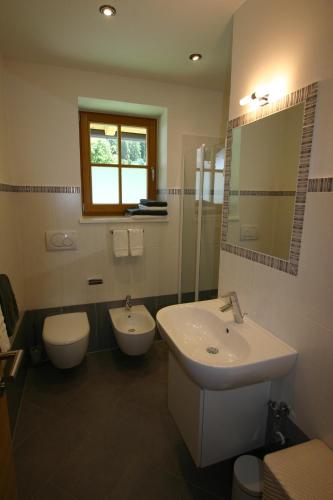 Un baño con lavabo, inodoro y espejo. en Hilpoldhof, en Castelrotto