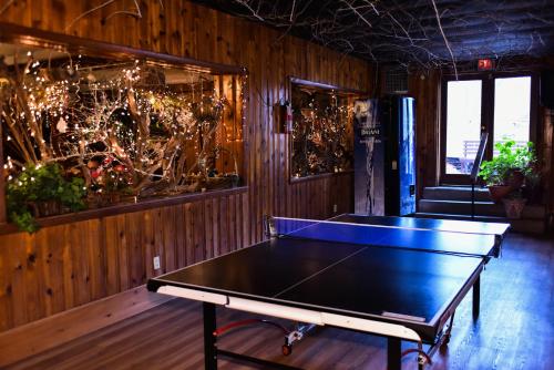 Xenia Lodge – Photos 3