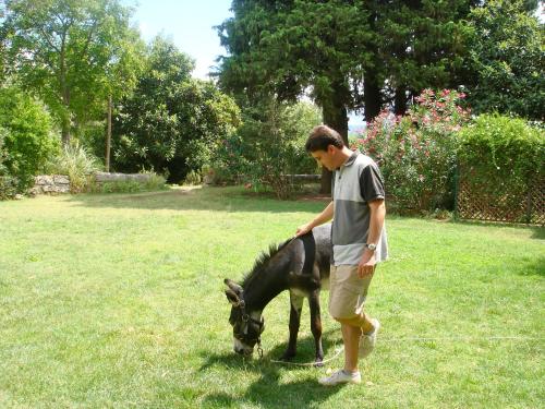 a man is petting a small pony in a field at Agriturismo "Borgo Madonna degli Angeli" - charming cottages in the gardens ! in Tocco da Casauria