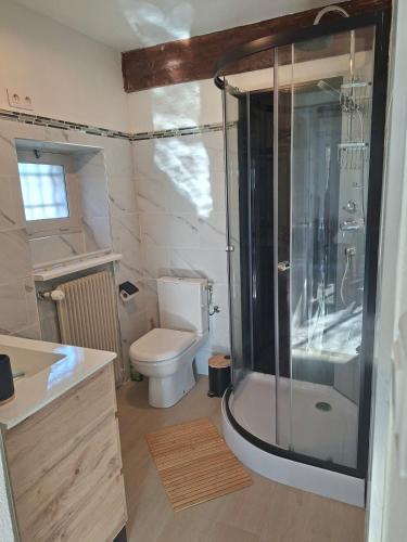 a bathroom with a shower and a toilet and a sink at comfortable studio in Grasse