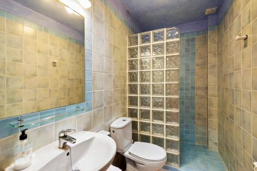 a bathroom with a toilet and a sink and a mirror at Casa Rural Ca La Siona in Avinyonet