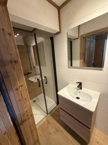 a bathroom with a sink and a shower at Ferienwohnung Almzeit in Gressenberg