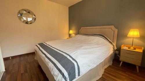 a bedroom with a bed and a lamp and a mirror at Le Pegan - Appartement 2 chambres proche du centre de Ferney et de Palexpo in Ferney-Voltaire
