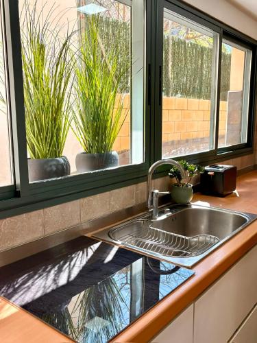 a kitchen sink with two potted plants in a window at Gandia Confort Treviso in Gandía