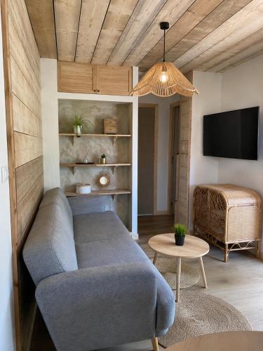 a living room with a couch and a tv at Le pré du bonheur in Saint-Georges-sur-Baulche