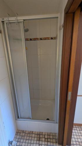 a shower with a glass door in a bathroom at Ferienwohnung Neckarsulm Mitte in Neckarsulm