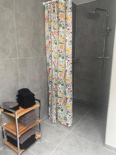 eine Dusche in einem Badezimmer mit Duschvorhang in der Unterkunft Hof Husmann in Extertal