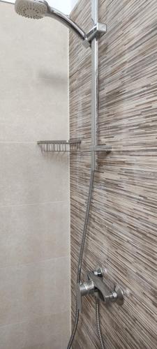 a shower with a shower head in a bathroom at Verde viu in Greşu