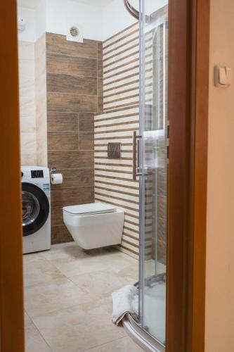 a bathroom with a toilet and a washing machine at Apartmány Nový Svět in Třeboň II