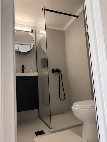 a bathroom with a shower and a toilet at Casa Luna Luxury Apartment in Nea Moudania