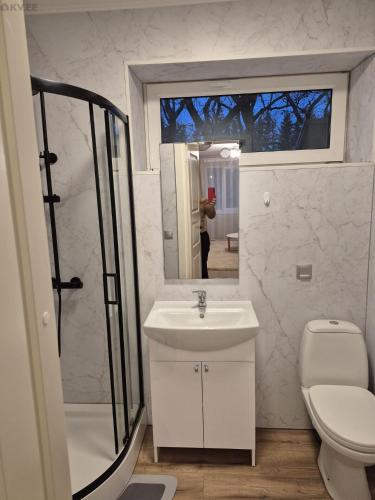a bathroom with a sink and a toilet and a mirror at Tamme apartment in Suuremõisa