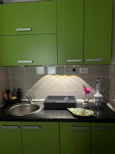 a kitchen with green cabinets and a sink and a counter at Kuća za odmor-Aleksandra in Divčibare