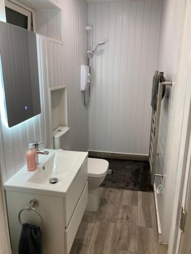 a white bathroom with a toilet and a sink at MeadowView Apt B -2 mins walk Carrigaline town -sleeps 4 - 2 Adults and 2 Kids in Carrigaline