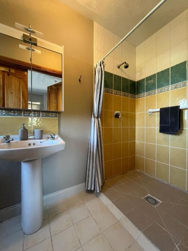ein Badezimmer mit Waschbecken und Dusche in der Unterkunft Three Sisters in Dingle